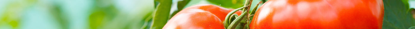 Gemüsegarten - wie Du ihn optimal pflegst!