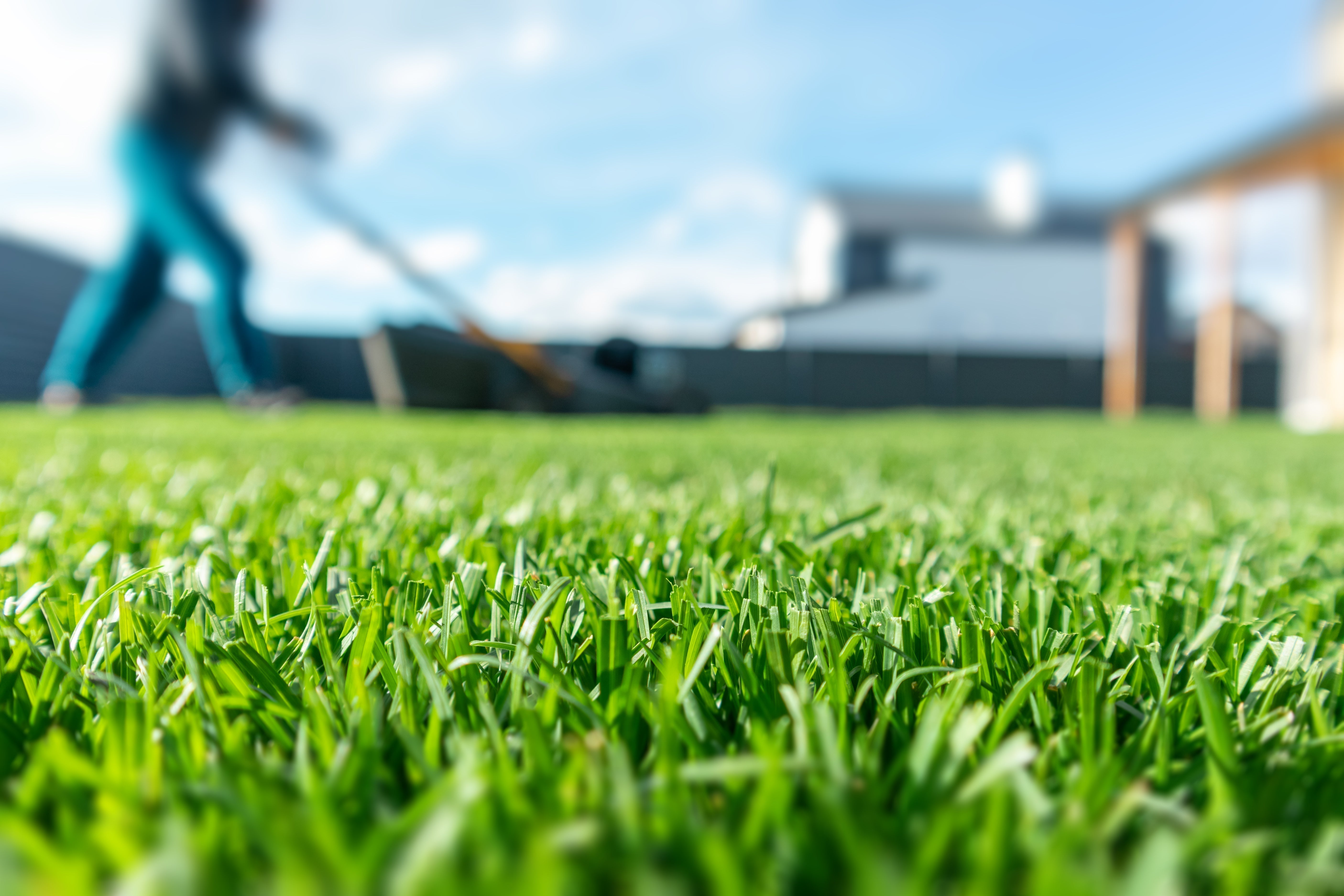 Wie behandle ich meinen Rasen im Frühling?