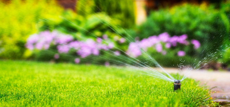 Rasen richtig bewässern: So viel Wasser braucht Ihr Rasen wirklich