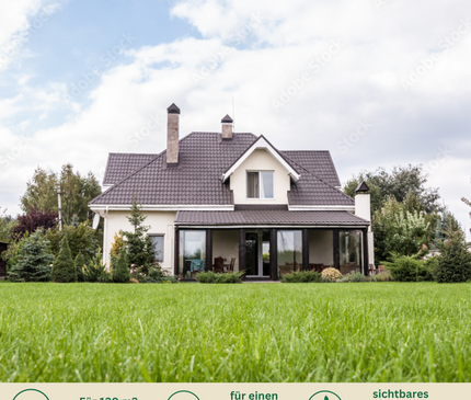 Rasenmax Rasendünger Rasen Booster 3 kg - für 120 m2 Rasenfläche