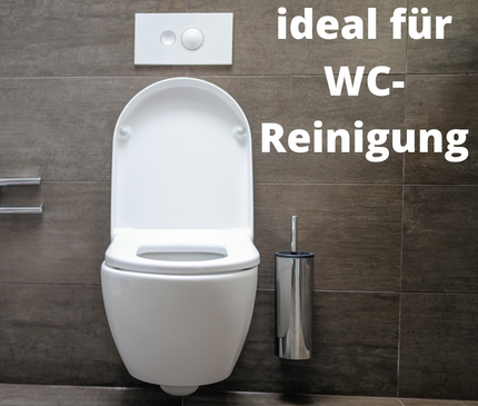 DayliWipe Reinigungstücher Hygiene - reißfeste Allzweck Feuchttücher in Box für glatte Oberflächen in Bad, Küche, WC