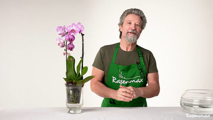 <strong>Unser Ratgebervideo über Orchideen</strong>