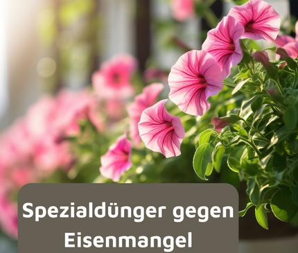 Rasenmax Eisendünger flüssig Ferrum