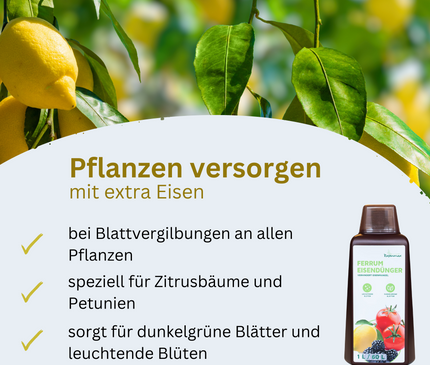 Rasenmax Eisendünger flüssig Ferrum