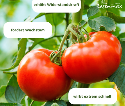 Rasenmax Bio Dünger Vital - Biologischer Universaldünger