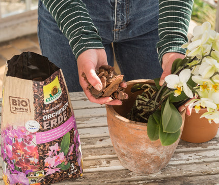 Neudorff NeudoHum Orchideenerde 3l