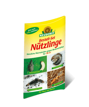 Nematoden von Neudorff gegen Dickmaulrüssler & Wiesenschnaken