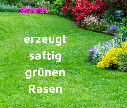 Rasenmax Rasendünger Rasen Booster 3 kg - für 120 m2 Rasenfläche