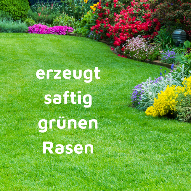Rasenmax Rasendünger Rasen Booster 3 kg - für 120 m2 Rasenfläche