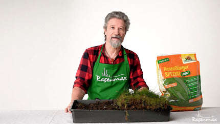 Alles über die Rasenpflege