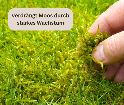 Rasenmax Rasendünger Rasen Booster 3 kg - für 120 m2 Rasenfläche