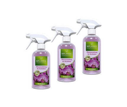 Orchideen-Spray Set - 3 Stück