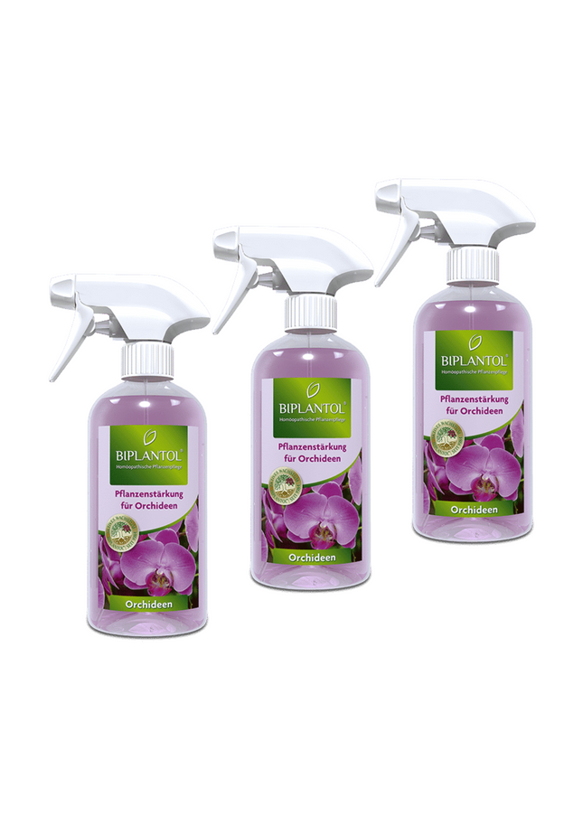 Orchideen-Spray Set - 3 Stück