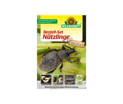Nematoden von Neudorff gegen Dickmaulrüssler & Wiesenschnaken