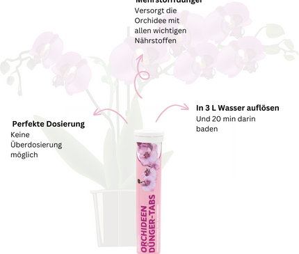 Rasenmax Orchideendünger Tabs - 20 Stück