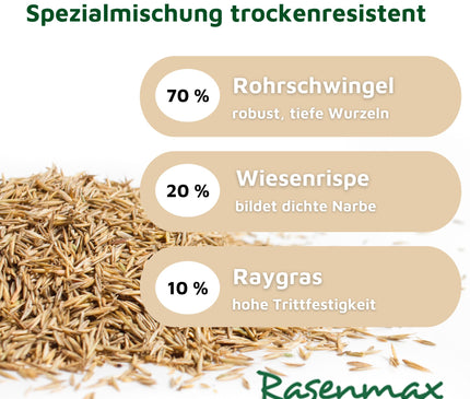 Rasenmax Rasensamen trockenresistent - Grassamen für trockene Standorte, 2,5 kg, 100 m2