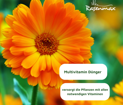 Rasenmax Bio Dünger Vital - Biologischer Universaldünger