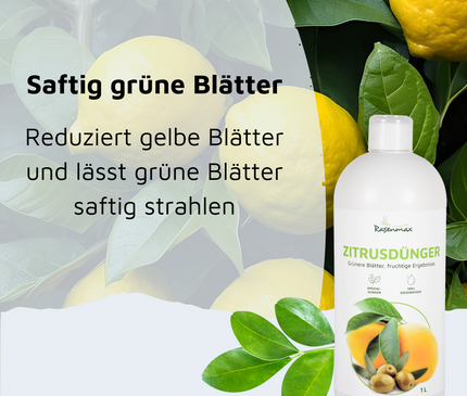 Rasenmax Zitrusdünger und Olivenbaumdünger 1 L