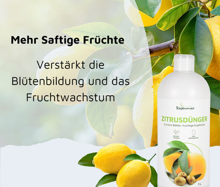 Rasenmax Zitrusdünger und Olivenbaumdünger 1 L